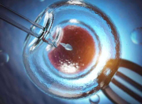 河南试管婴儿费用高吗,河南试管私人机构可靠吗？