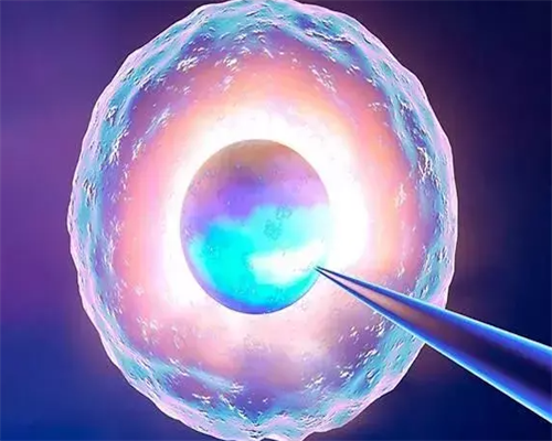 郑州哪里能治好不孕不育