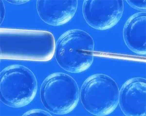 安顺供卵试管助孕代怀生孩子机构