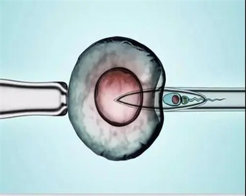 河南——试管需要多少钱?附费用明细!