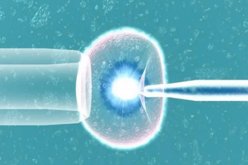 洛阳海淀区三代试管婴儿医院介绍,宣布：洛阳试管正规中介哪家好?附选择机构