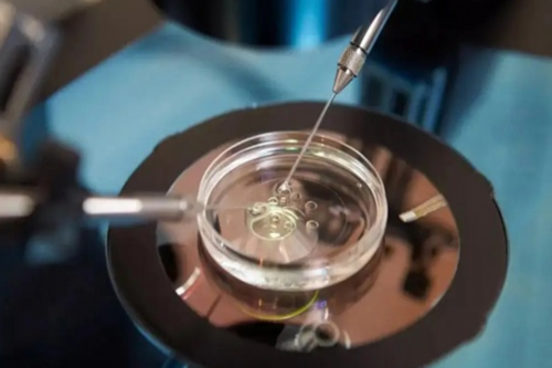 代怀价格表_代怀生孩子多少钱_中考化学常用仪器与基本操作考查