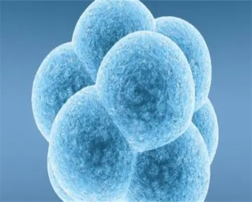 代怀多少钱_包代怀多少钱_萍乡促排医院排名：南昌做三代试管最好的医院就医