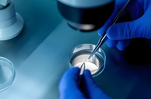 代怀小孩哪里有_专业代怀多少钱_拉萨阜康医院是公立三甲还是私立？做试管成