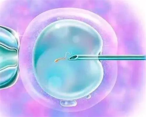 河南供卵在哪里可以查到结果,河南郑州到哪个地方可以做供精试管郑州可以供