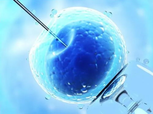 代怀靠谱吗_合法代怀多少钱_第三代试管婴儿的详细流程是怎样的？你了解过吗