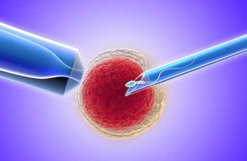 洛阳iso认证,洛阳iso认证办理电话,洛阳iso认证机构