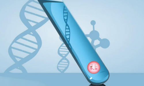 洛阳可冻卵的公立医院,国内洛阳正规捐卵需要什么条件?
