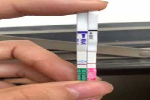 在洛阳建档需要准备什么资料,洛阳不孕不育有什么症状