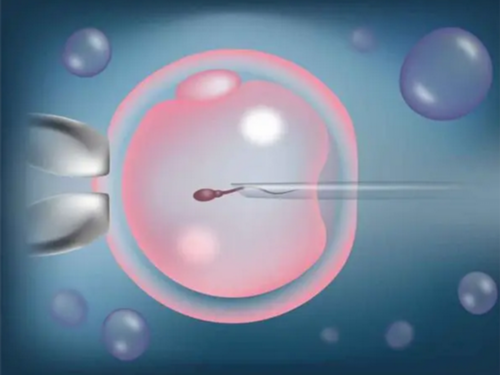 洛阳做供卵试管的医院推荐,洛阳做四维彩超医院推荐