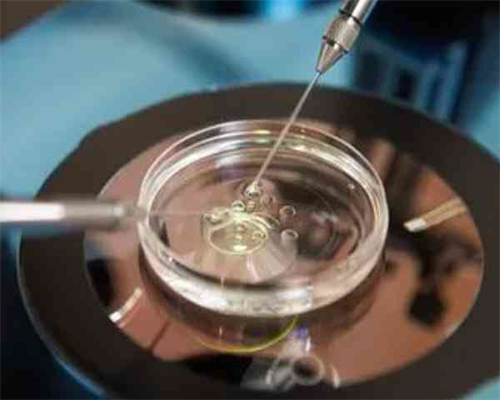 代怀孩子多少钱_代怀生子正规公司_西藏有做供精试管婴儿的医院吗？