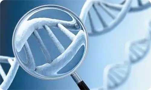 安顺供卵试管助孕代怀生孩子机构