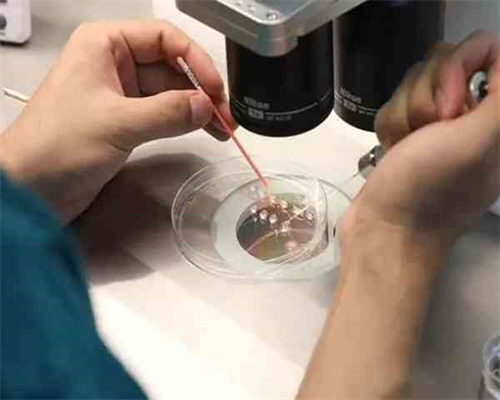 河南四十七中，河南47高中部怎么样,河南大学第一附属医院做试管婴儿费用及成