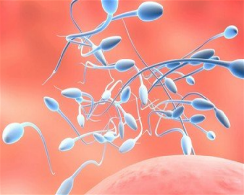 郑州试管代孕包成功,2026
郑州做试管婴儿费用一览-内附费用明细参考