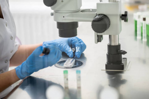 泰国暹罗试管婴儿成功率怎么样