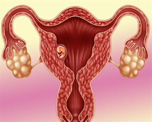 河南试管婴儿医生推荐,2026河南生殖医院专家排行参考