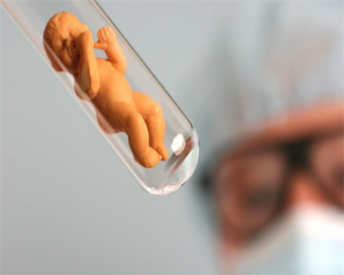 河南最出名的试管医院官网(河南哪家试管婴儿医院)