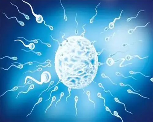 郑州一附院做试管全国排名多少？郑州一附院试管婴儿-有积水试管成功的吗图