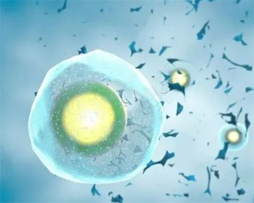 2026甘肃月子中心排行榜及价格,甘肃大学附属洛阳中心医院（洛阳市中心医院）