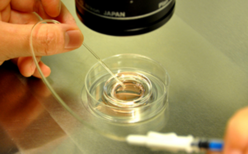 洛阳试管婴儿机构？,2026洛阳试管三代助孕生子机构排名汇总?