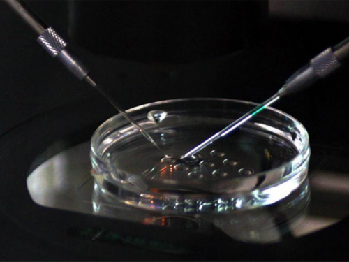 河南哪里做试管好？,2026河南试管婴儿医院排名最好是哪家