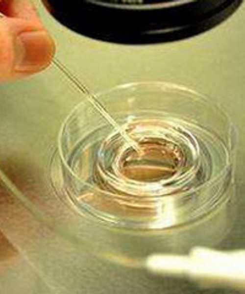 郑州代孕医院哪里找,高龄夫妻赴泰国做试管的案例解析成功的秘密-郑州哪个医