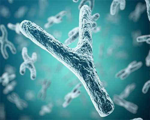 2026最新郑州民间捐卵试管机构汇总附捐卵试管成功率明细