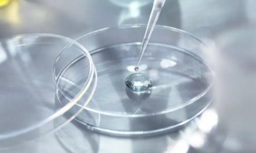 代怀孕晴天代怀孕_代怀网站哪家靠谱_试管婴儿技术，一代更比一代强吗？