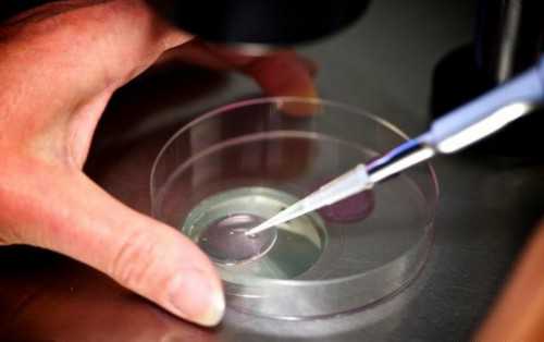 世纪代怀孕套餐_代怀宝宝哪家靠谱_宝宝低烧后关节痛疑似白血病，做血常规能