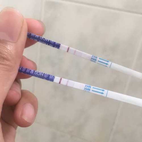 正式上线运行！洛阳都市圈不同城市住房公积金“打通用”