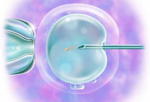 河南结婚落户条件,河南结婚落户需要多久