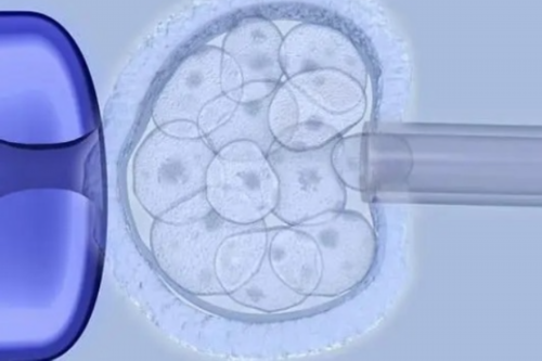 河南生育保险定点医疗机构,河南与河南的医疗机构数量有何不同？?