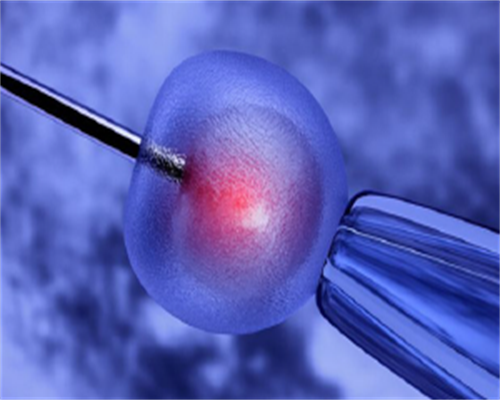 个人代怀qq群_代怀成功率_两侧输卵管切除可通过二代试管婴儿受孕,庆阳多家