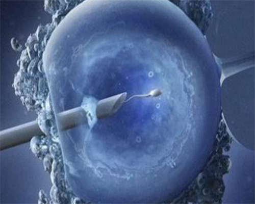 专业代怀网_国内代怀中心_大庆哪家医院可以做试管婴儿？当地的姐妹只能选择