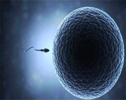 郑州哪里可以免费做试管婴儿？