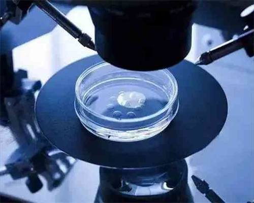 洛阳私人试管婴儿医院有哪些？,洛阳哪些医院可以做试管