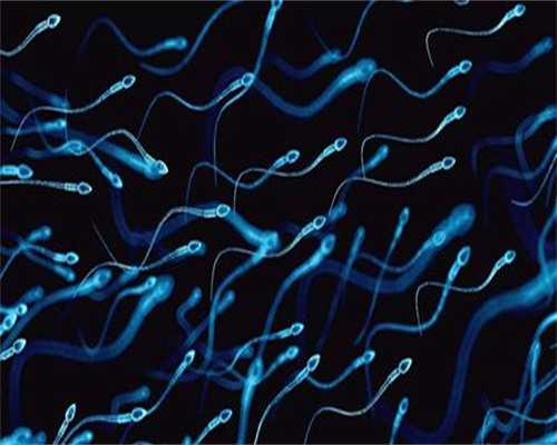 代怀小孩电话_最可靠代怀_女性慢性iga遗传肾炎可以做三代试管婴儿吗？