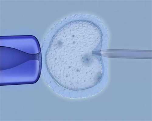 如何选择靠谱的洛阳试管婴儿中介公司？,洛阳试管婴儿服务公司排名榜单?