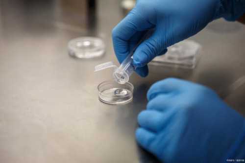 辽阳供卵代怀孕三代试管包儿子