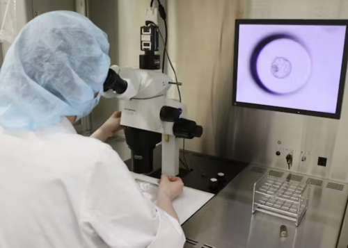 河南代生单价_2026南阳市中心医院做试管婴儿可以选性别吗？附河南三代试管生