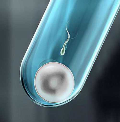 河南许昌正规医院做一个试管婴儿包生男孩价格大概多少钱？