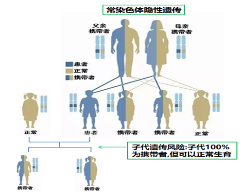 哪里可以做代怀_代怀生小孩哪家好_佳木斯哪个医院做试管婴儿？试管的具体费