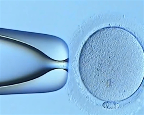 洛阳代怀代怀官网|"泰国试管婴儿可以选性别真的假的？ "