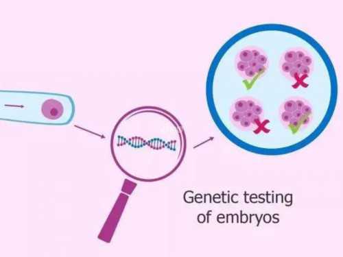 洛阳做试管需要多少钱？,洛阳集爱做试管需要多少钱