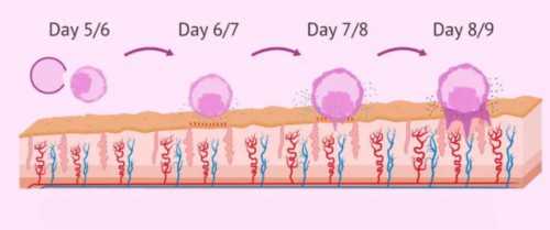代怀小孩_代怀咨询电话_试管人工周期移植前孕酮的正常标准是多少nmol/l？_11