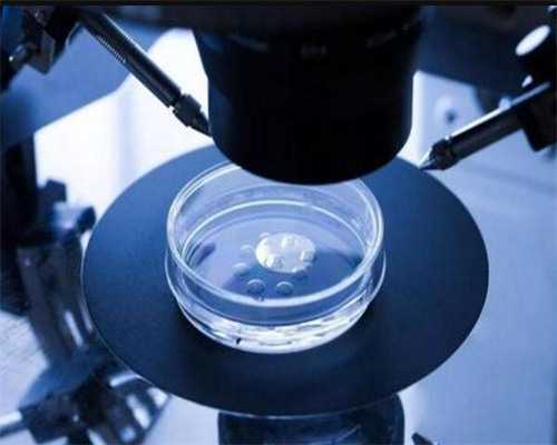 代怀在线咨询_代怀好不好_2026年仁怀哪里有三代试管婴儿私立医院？成功率高吗