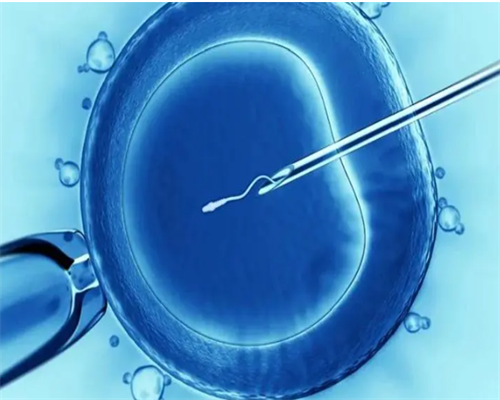 河南三代试管大概费用|南阳第三代试管成功率多高