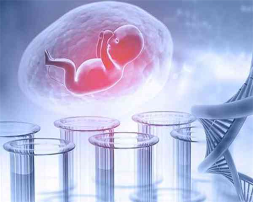 河南供卵试管qq群_美国试管婴儿专家告诉你月经 后一天这么做可能导致不孕
