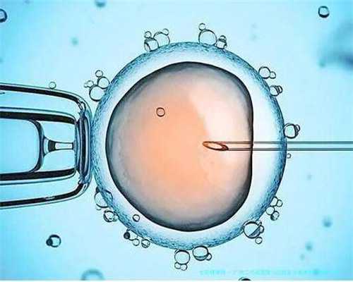 洛阳代孕价格行情|温州试管医院排名中成功率第一的是哪家？