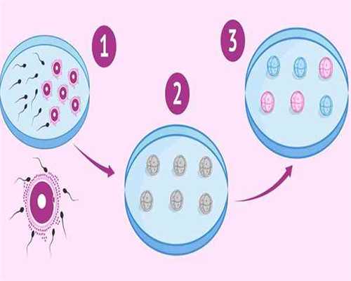 代怀孕机构价钱_代怀小孩哪家正规,了解北京减肥训练营的月费和性价比：如何